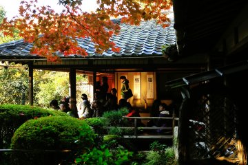 <p>Visitors appreciating beautiful autumn leaves from the Room of Shisen</p>