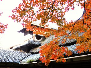 Autumn leaves hang in front the graceful roof of the villa