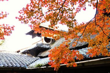 <p>Autumn leaves hang in front the graceful roof of the villa</p>