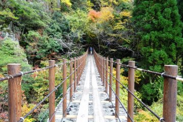 <p>Вид с подвесного моста Аятори в Гоканосё</p>