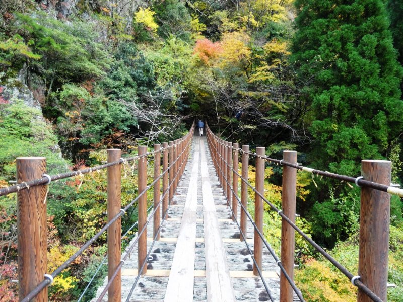 <p>Вид с подвесного моста Аятори в Гоканосё</p>