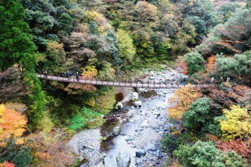 <p>Looking down from the Ayatori-bashi to the Shakunage-bashi</p>
