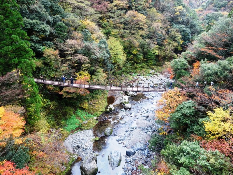 <p>Looking down from the Ayatori-bashi to the Shakunage-bashi</p>