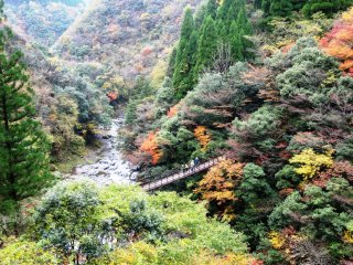 Наблюдая за разноцветной листвой с мостов