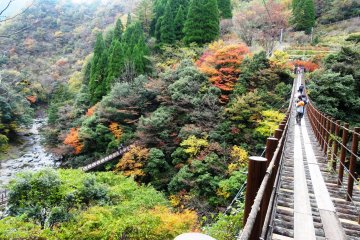 <p>The Ayatori Bridge is twice as high as the Shakunage Bridge</p>