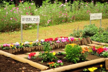 <p>Some flowers were recently being planted</p>