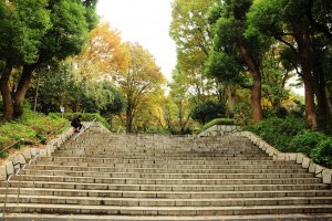 A stairs at&nbsp;Shinjuku Chuo Park that leads to those autumn-colored trees
