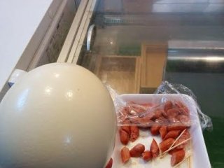 A trip to Rauchern Butcher shop may lead to sampling of sausages and seeing an ostrich egg