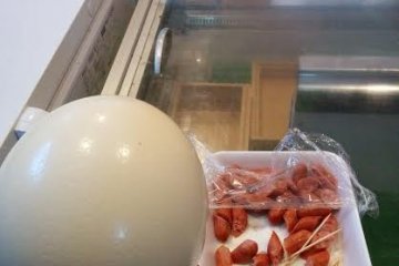 <p>A trip to Rauchern Butcher shop may lead to sampling of sausages and seeing an ostrich egg</p>