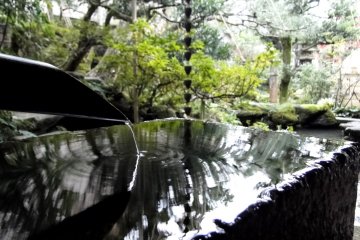 <p>A chozubachi (water basin) at the garden&#39;s edge</p>