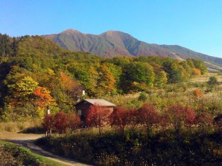 Autumn in Akita.
