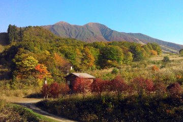 <p>Autumn in Akita.</p>