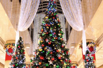 <p>Giant Christmas Trees with draped curtains of soft lights</p>