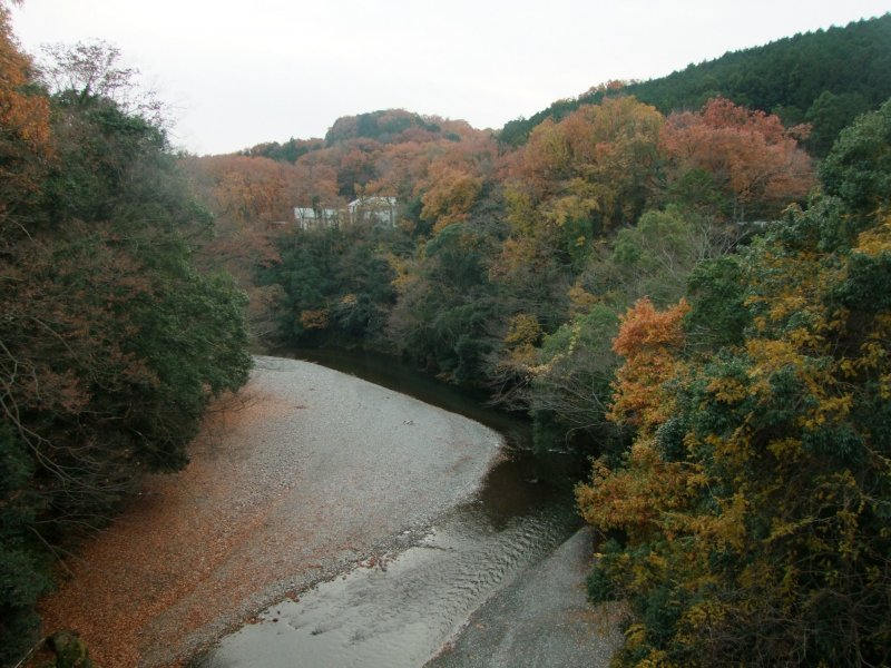 <p>The River wrapping around a bend &nbsp;</p>