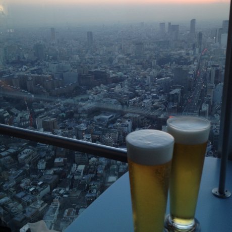 Mori Tower Tokyo City View