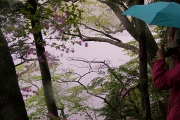 <p>เดินป่าไปรอบทะเลสาบท่ามกลางสายฝน เป็นประสบการณ์ที่สวยงาม</p>