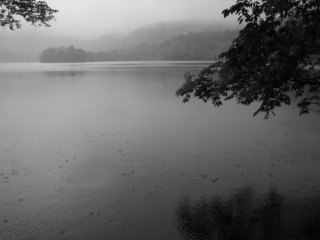 Màn sương mù trên hồ nước thật tĩnh lặng và êm đềm 