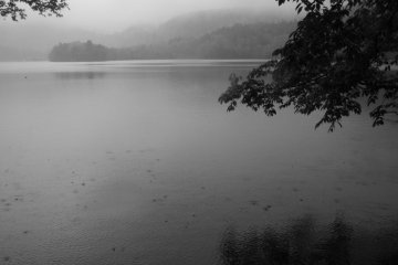 The mist on the lake was tranquil and calming