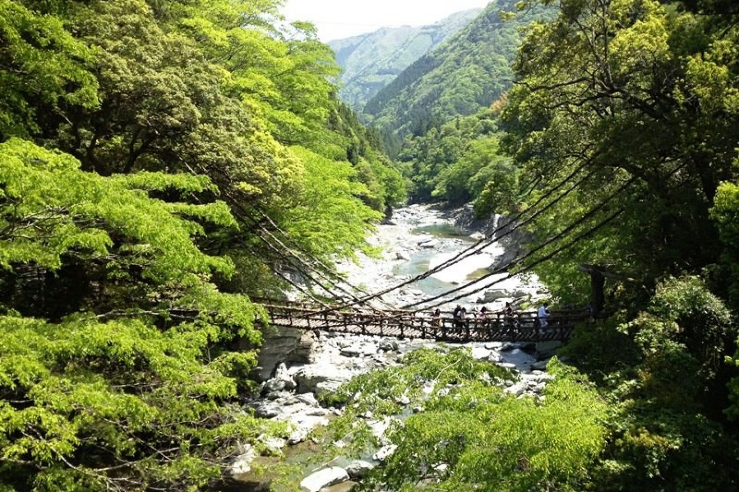 Jembatan Kazurabashi di musim panas