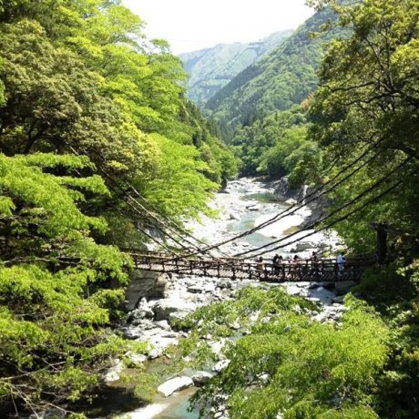 Lembah Iya Tokushima