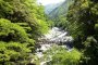 Thung lũng Iya ở Tokushima