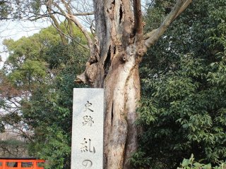 糺の森の石碑。下鴨神社の南北に細長い敷地全体の森の名称である