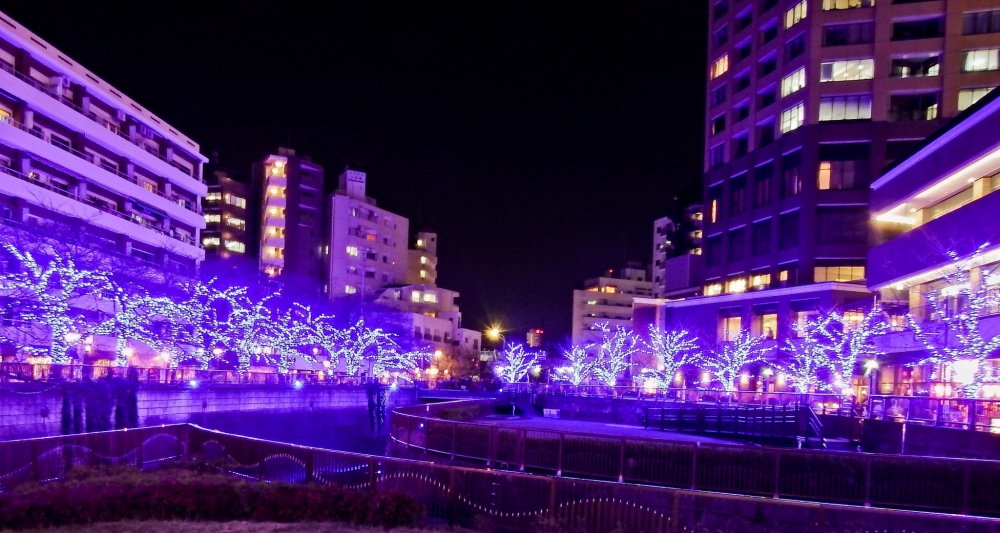 Chỉ mới bắt đầu mở vào ngày 23 tháng 11 và kéo dài đến ngày 25/12/2014, đây là một trong các lễ hội ánh sáng mùa đông mới nhất của Tokyo