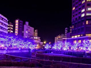 Having only recently started on November 23rd and running until December 25th 2014, this is one of Tokyo&rsquo;s newest winter illuminations