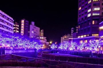 <p>Having only recently started on November 23rd and running until December 25th 2014, this is one of Tokyo&rsquo;s newest winter illuminations</p>