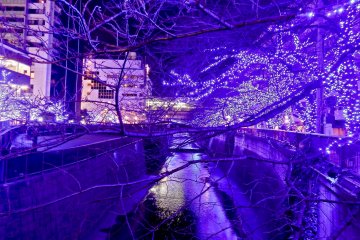 <p>The illuminated river with Naka-Meguro Station in the background</p>