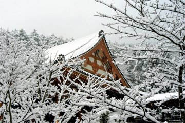 The gable of the temple rising above snow-covered branches