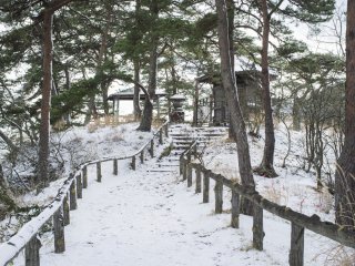 The stairs leading up to the shrine at Oshima