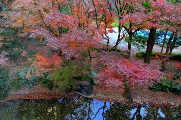 <p>I visited here at the end of 2014, but maple leaves in the garden were still clothed in brilliant red and orange.</p>