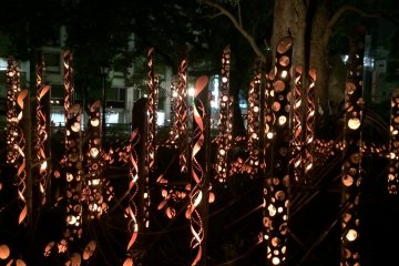 ต้นไม้ใหญ่ของสวนฮะนะบะทะตกแต่งด้วยแสงไฟสำหรับงานเทศกาล 