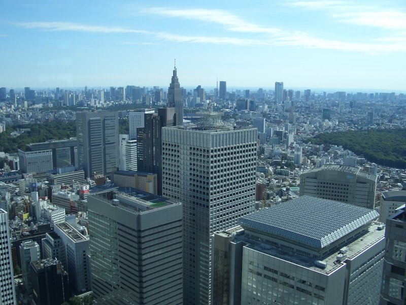 <p>Вид со смотровой площадки на другие высотные здания в Синдзюку</p>
