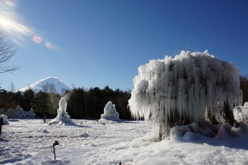 Фестиваль ледяных деревьев озера Саико 2019