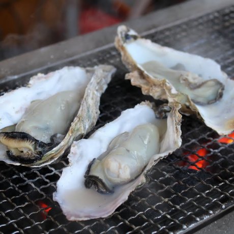Oyster Bakar di Shiogama