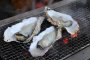 Grilling Oysters in Shiogama