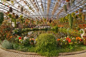 The vivid flowers that make up this 8,000sq meter Greenhouse is just gorgeous