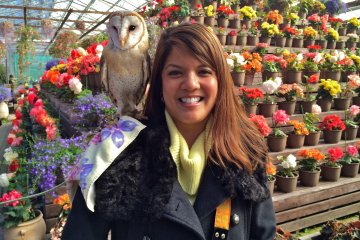 <p>Photo souvenir with a Barn Owl, plus petting time.&nbsp;300yen.</p>