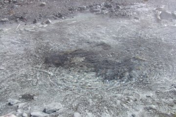 <p>Hot water bubbling up from below the earth&#39;s surface</p>