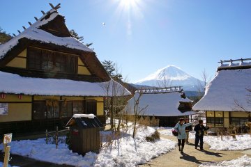 <p>Mt. Fuji and Iyashino-Sato Nenba&nbsp;creates a magical combination in the wintertime</p>