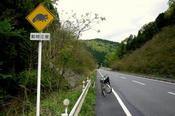 <p>Watch out for those tanuki!</p>