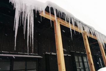 <p>Support beams are brought out during winter to protect some of the more fragile buildings</p>