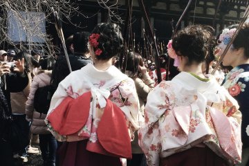 <p>Ladies dressed to the nines in their carefully worn kimonos and hair.&nbsp;</p>