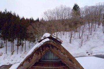 Лес бесконечной романтики в Фукуи