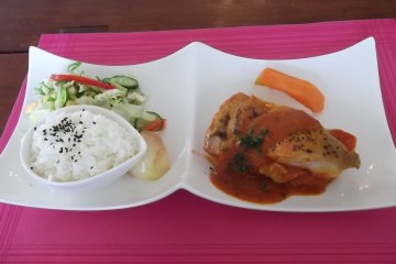 <p>My main dish: chicken, rice, veggies and salad</p>