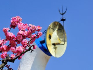 Tower of the Sun and &#39;Yae-ume&#39; plum blossoms under the bright blue sky!