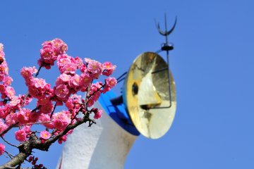 <p>Tower of the Sun and &#39;Yae-ume&#39; plum blossoms under the bright blue sky!</p>