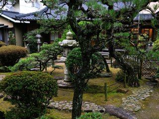 This garden has characteristics of gardens in the mid Edo Period, in which pines are planted beside stone lanterns